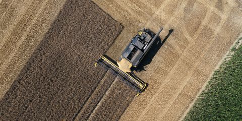 Trois innovations technologiques "made in France" au service de l'agriculture