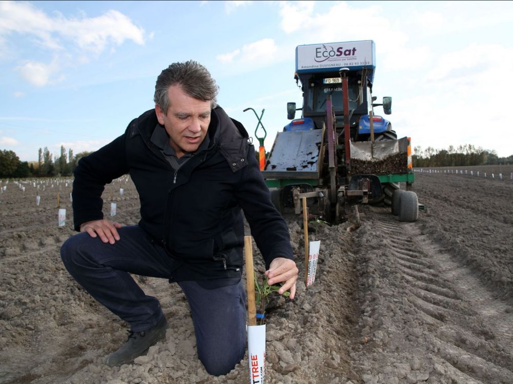 La galaxie des entreprises Montebourg